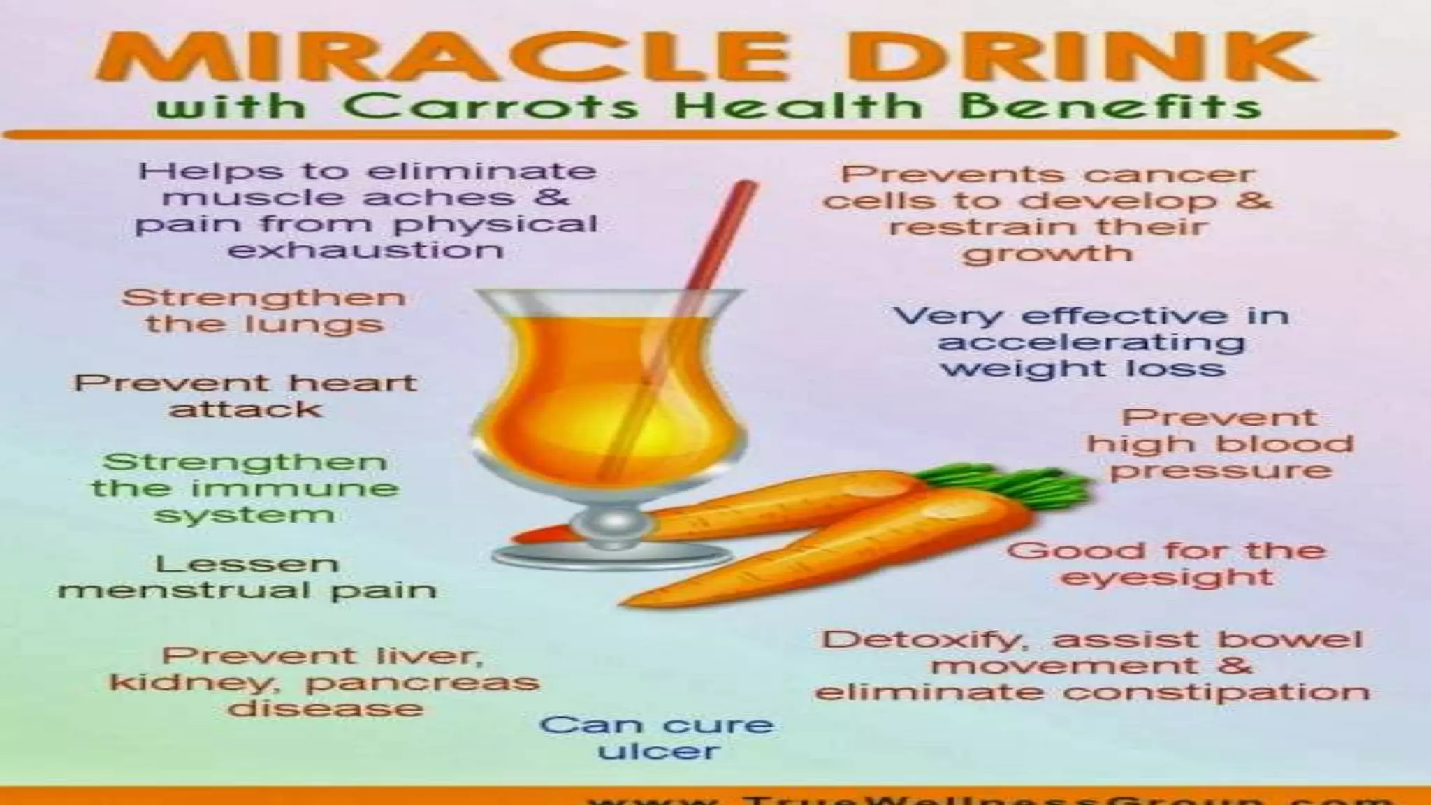 Carrot Production Technology