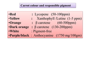 Carrot | PPTX