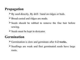 Seeds Ridges CARRRRRRRRRRRROTTTTTTTTTTTTTTTTTTTTTTT VEGETABLE | PPT