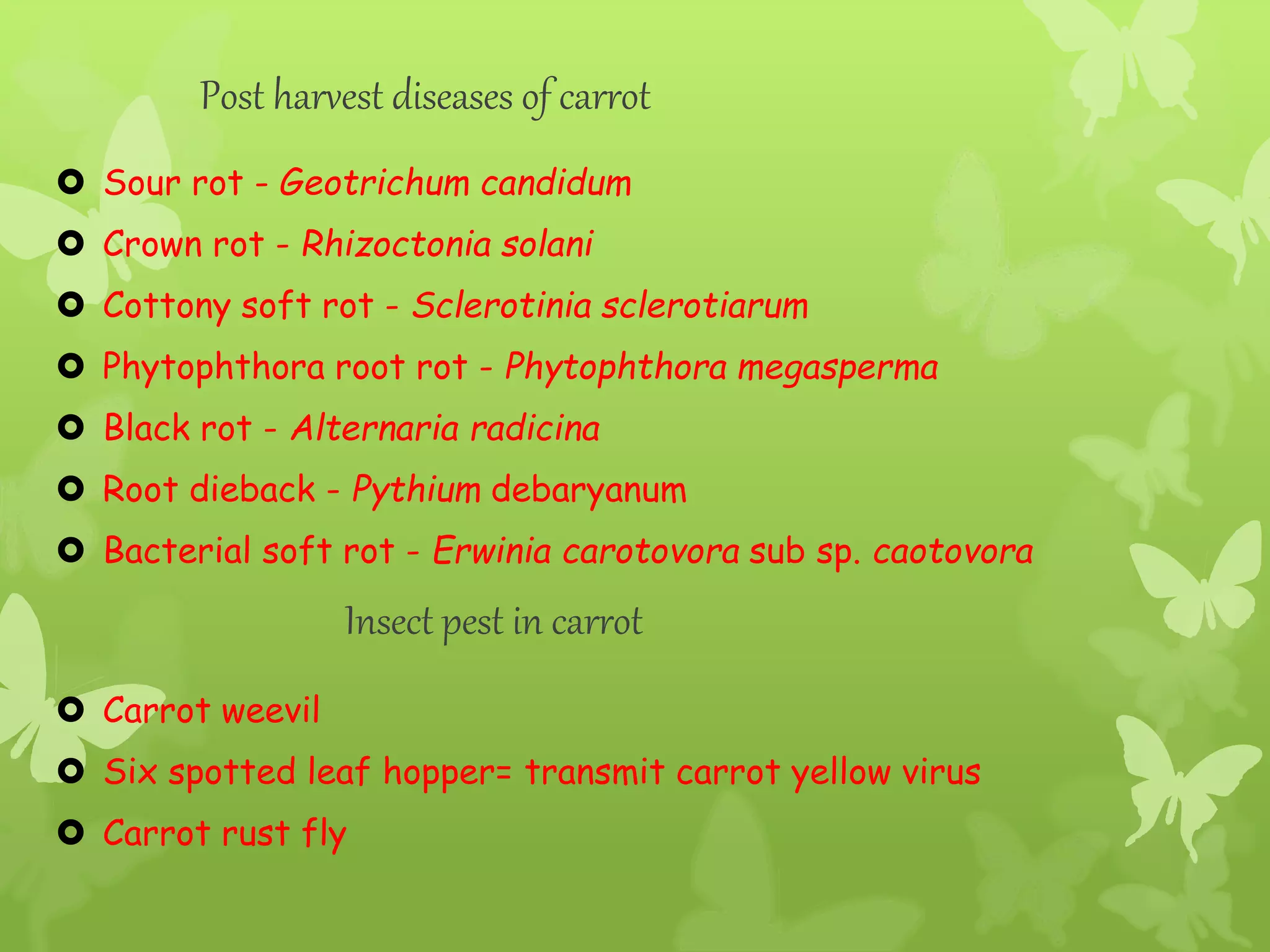 Post harvest diseases of carrot
 Sour rot - Geotrichum candidum
 Crown rot - Rhizoctonia solani
 Cottony soft rot - Sclerotinia sclerotiarum
 Phytophthora root rot - Phytophthora megasperma
 Black rot - Alternaria radicina
 Root dieback - Pythium debaryanum
 Bacterial soft rot - Erwinia carotovora sub sp. caotovora
Insect pest in carrot
 Carrot weevil
 Six spotted leaf hopper= transmit carrot yellow virus
 Carrot rust fly
 