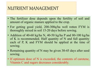 Fym Well Rotted Advances in Production technology of Carrot (UHF Nauni)(2021) | PPTX