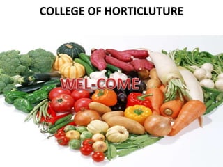 COLLEGE OF HORTICLUTURE
 