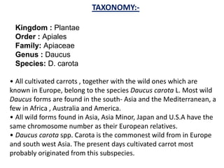 TAXONOMY:-
Kingdom : Plantae
Order : Apiales
Family: Apiaceae
Genus : Daucus
Species: D. carota
• All cultivated carrots , together with the wild ones which are
known in Europe, belong to the species Daucus carota L. Most wild
Daucus forms are found in the south- Asia and the Mediterranean, a
few in Africa , Australia and America.
• All wild forms found in Asia, Asia Minor, Japan and U.S.A have the
same chromosome number as their European relatives.
• Daucus carota spp. Carota is the commonest wild from in Europe
and south west Asia. The present days cultivated carrot most
probably originated from this subspecies.
 