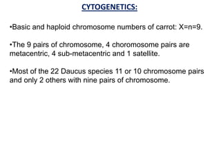 CYTOGENETICS:
•Basic and haploid chromosome numbers of carrot: X=n=9.
•The 9 pairs of chromosome, 4 choromosome pairs are
metacentric, 4 sub-metacentric and 1 satellite.
•Most of the 22 Daucus species 11 or 10 chromosome pairs
and only 2 others with nine pairs of chromosome.
 