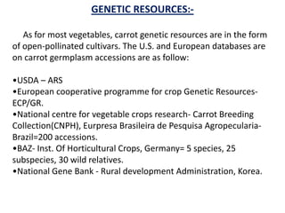 GENETIC RESOURCES:-
As for most vegetables, carrot genetic resources are in the form
of open-pollinated cultivars. The U.S. and European databases are
on carrot germplasm accessions are as follow:
•USDA – ARS
•European cooperative programme for crop Genetic Resources-
ECP/GR.
•National centre for vegetable crops research- Carrot Breeding
Collection(CNPH), Eurpresa Brasileira de Pesquisa Agropecularia-
Brazil=200 accessions.
•BAZ- Inst. Of Horticultural Crops, Germany= 5 species, 25
subspecies, 30 wild relatives.
•National Gene Bank - Rural development Administration, Korea.
 