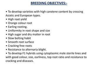 BREEDING OBJECTIVES:-
• To develop varieties with high carotene content by crossing
Asiatic and European types.
• High root yield
• Orange colour root
• Earling rooting.
• Uniformity in root shape and size
• High sugar and dry matter in root
• Slow bolting habit
• Smooth root surface
• Cracking free roots
• Resistance to alternaria blight.
• To develop F1 hybrids using cytoplasmic male sterile lines and
with good colour, size, earliness, top root ratio and resistance to
cracking and diseases.
 