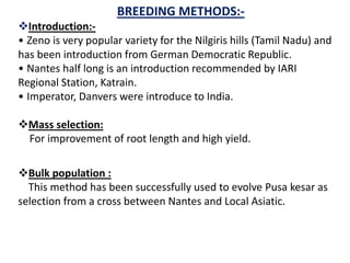 BREEDING METHODS:-
Introduction:-
• Zeno is very popular variety for the Nilgiris hills (Tamil Nadu) and
has been introduction from German Democratic Republic.
• Nantes half long is an introduction recommended by IARI
Regional Station, Katrain.
• Imperator, Danvers were introduce to India.
Mass selection:
For improvement of root length and high yield.
Bulk population :
This method has been successfully used to evolve Pusa kesar as
selection from a cross between Nantes and Local Asiatic.
 