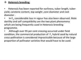  Heterosis breeding:
• Heterosis has been reported for earliness, tuber length, tuber
yield, carotene content, top weight ,core diameter and root
diameter .
• In F2, considerable loss in vigour has also been observed. Male
sterility and self compatibility are the two plant phenomena
which are being frequently used in Heterosis breeding
programme.
• Although over 95 per cent crossing occurred under field
condition, the commercial production of F1 hybrid seed by natural
cross-pollination is considered impracticable because of the large
proportion of pollinator varieties that would have to be used.
 