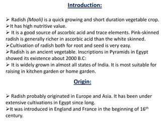 Introduction:
 Radish {Mooli) is a quick growing and short duration vegetable crop.
It has high nutritive value.
 It is a good source of ascorbic acid and trace elements. Pink-skinned
radish is generally richer in ascorbic acid than the white skinned.
Cultivation of radish both for root and seed is very easy.
Radish is an ancient vegetable. Inscriptions in Pyramids in Egypt
showed its existence about 2000 B.C:
 It is widely grown in almost all states of India. It is most suitable for
raising in kitchen garden or home garden.
Origin:
 Radish probably originated in Europe and Asia. It has been under
extensive cultivations in Egypt since long.
It was introduced in England and France in the beginning of 16th
century.
 