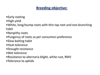 Breeding objective:
•Early rooting
•High yield
•White, long/stump roots with thin tap root and non-branching
habit
•Nonpithy roots
•Pungency of roots as per consumers preference
•Slow bolting habit
•Heat tolerance
•Drought resistance
•Wet tolerance
•Resistance to alternaria blight, white rust, RMV
•Tolerance to aphids
 