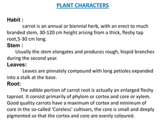 PLANT CHARACTERS
Habit :
carrot is an annual or biennial herb, with an erect to much
branded stem, 30-120 cm height arising from a thick, fleshy tap
root,5-30 cm long.
Stem :
Usually the stem elongates and produces rough, hispid branches
during the second year.
Leaves:
Leaves are pinnately compound with long petioles expanded
into a stalk at the base.
Root:
The edible portion of carrot root is actually an enlarged fleshy
taproot. It consist primarily of phylom or cortex and core or xylem.
Good quality carrots have a maximum of cortex and minimum of
core in the so-called ‘Coreless’ cultivars, the core is small and deeply
pigmented so that the cortex and core are evenly coloured.
 