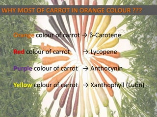seed production of Carrot (CSK HPKV) harmanjeet singh | PPTX