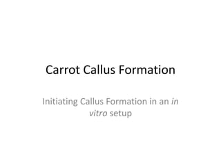 Carrot Callus Formation
Initiating Callus Formation in an in
vitro setup
 
