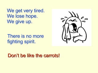 We get very tired. We lose hope. We give up. There is no more fighting spirit. Don’t be like the carrots! 