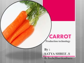 CARROT
Production technology
By :
SATYA SHREE .S
B.Tech(Horticulture
)
 