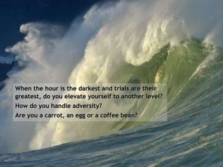 When the hour is the darkest and trials are their greatest, do you elevate yourself to another level?  How do you handle adversity?  Are you a carrot, an egg or a coffee bean? 