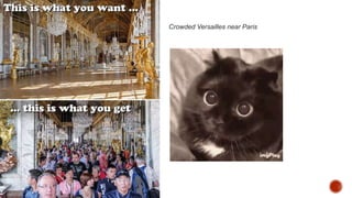 Crowded Versailles near Paris
 