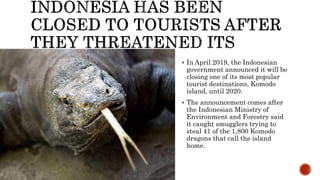  In April 2019, the Indonesian
government announced it will be
closing one of its most popular
tourist destinations, Komodo
island, until 2020.
 The announcement comes after
the Indonesian Ministry of
Environment and Forestry said
it caught smugglers trying to
steal 41 of the 1,800 Komodo
dragons that call the island
home.
 