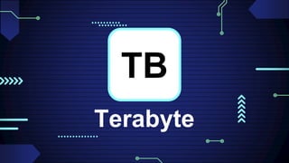 Terabyte Sign Carryout Mensuration and Calculation.pptx