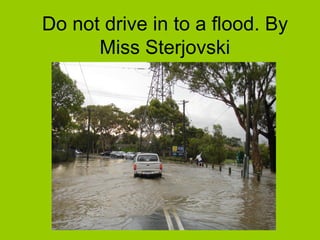 Do not drive in to a flood. By
      Miss Sterjovski
 