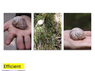 Efficient
 