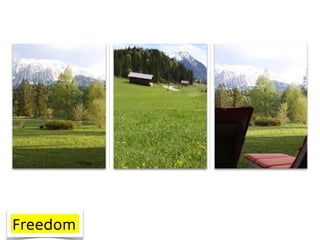 Freedom
 
