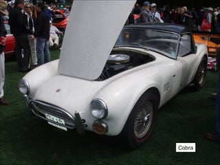 Cobra 
