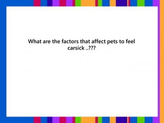 What are the factors that affect pets to feel
carsick ..???
 
