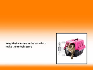 Keep their carriers in the car which
make them feel secure
 