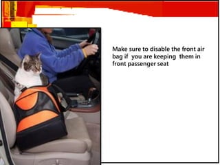 Make sure to disable the front air
bag if you are keeping them in
front passenger seat
 