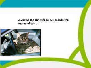 Lowering the car window will reduce the
nausea of cats ….
 