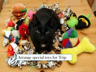 Arrange special toys for Trip
 