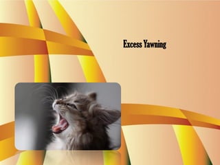 ExcessYawning
 
