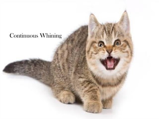 Continuous Whining
 