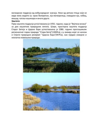 мочварних подручја од међународног значаја. Неке од ретких птица које се
овде могу видети су: орао белорепан, еја мочварница, ливадски еја, кобац,
мишар, чапља кашикара и многедруге.
Заштита
Прва заштита подручја успостављена је 1955. године, када је "Војтина млака"
за део изузетних природних лепота. Шире, просторна заштита подручја
Старог Бегеја и Царске баре успостављена је 1986. године проглашењем
регионалног парка природе "Стари Бегеј"(1300hа), а у оквиру којег се налази
и Строги природни резерват "Царска бара"(447hа), као предео изворне и
незнатно измењене природе.
 