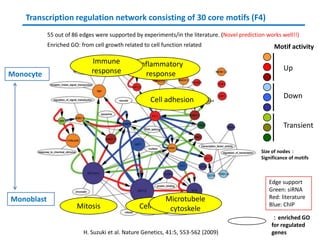 Transcription regulation network consisting of 30 core motifs (F4)
            55 out of 86 edges were supported by experiments/in the literature. (Novel prediction works well!!)
            Enriched GO: from cell growth related to cell function related                           Motif activity

                             Immune             Inflammatory
                             response                                                                     Up
Monocyte                                          response


                                                     Cell adhesion                                        Down


                                                                                                          Transient


                                                                                                Size of nodes：
                                                                                                Significance of motifs



                                                                                                   Edge support
                                                                                                   Green: siRNA
Monoblast                                                 Microtubele                              Red: literature
                       Mitosis                   Cell cycle cytoskele                              Blue: ChIP

                                                                                                    ：enriched GO
                                                                                                    for regulated
                          H. Suzuki et al. Nature Genetics, 41:5, 553-562 (2009)                    genes
 