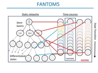 FANTOM5
              Static networks        Time-courses

                   iPS
      Stem          ES




                                                              State Transition
      basins

       Endo        Meso    Ecto




Differentiated
states                                 FANTOM4
                                                    FANTOM5
 