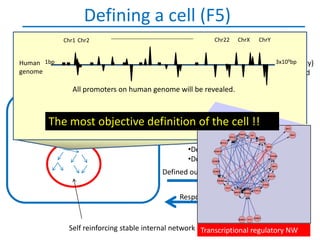 Defining a cell (F5)
            Chr1 Chr2                                    Chr22   ChrX   ChrY

                                             •Surface markers
Human 1bp                                    •Morphology (shape, volume, polarity)
                                                                        3x109bp
genome                                       •Single or multinucleated, enucleated
                                             •Ploidy
              All promoters on human genome will be revealed.
                                             •Motility (adherent, resident,
                                             migratory)
                                             •Differentiation potential
       The                                   •Self renewal potential
              most objective definition of the cell !!
                                             •Developmental/lineage history
                                             •Tissue of origin
                                             •Developmental age (doublings?)
                                             •Doubling time
                                         Defined outputs (eg growth factors)


                                              Response to inputs


             Self reinforcing stable internal network Transcriptional regulatory NW
 
