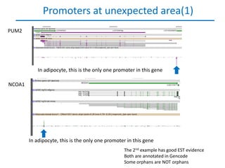 Promoters at unexpected area(1)
PUM2




            In adipocyte, this is the only one promoter in this gene

NCOA1




        In adipocyte, this is the only one promoter in this gene
                                                  The 2nd example has good EST evidence
                                                  Both are annotated in Gencode
                                                  Some orphans are NOT orphans
 