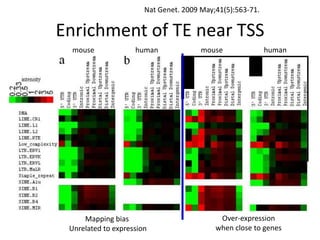 Nat Genet. 2009 May;41(5):563-71.

Enrichment of TE near TSS
 mouse              human              mouse               human




     Mapping bias                           Over-expression
 Unrelated to expression                   when close to genes
 