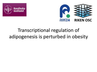 Transcriptional regulation of
adipogenesis is perturbed in obesity
 