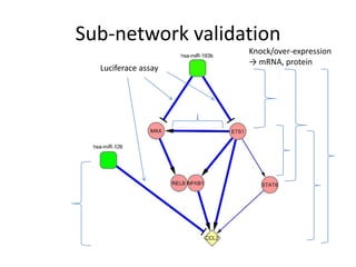 Sub-network validation
                     Knock/over-expression
                     → mRNA, protein
  Luciferace assay
 