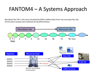 FANTOM4 – A Systems Approach
Monoblast-like THP-1 cells were stimulated by PMA to differentiate them into monocyte-like cells.
10 time point samples were collected during differentiation.



                Monoblast-like                                        Monocyte-like


      0    1      2       4        6       12         24      48        72          96 hour
       PMA




  Replicates                  Microarray check
                                                                             Deep CAGE

  RIKEN1
  RIKEN3                                                                                        TF qRT-PCR
  RIKEN5                                           Not good
  RIKEN6
                           Illumina (47K probes)                             miRNA microarray
                           10 time points
 