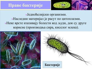 Праве бактерије
Једноћелијски организми.
Наследни материјал је расут по цитоплазми.
Неке врсте изазивају болести код људи, док су друге
корисне (производња сира, киселог млека).
Бактерије
 