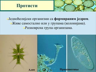 Протисти
Једноћелијски организми са формираним једром.
Живе самостално или у групама (колонијама).
Разноврсна група организама.
Алге Праживотиње
 