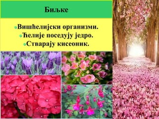 Биљке
Вишћелијски организми.
Ћелије поседују једро.
Стварају кисеоник.
 