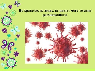 Не хране се, не дишу, не расту; могу се само
размножавати.
 