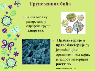 Групе живих бића
Жива бића су
разврстана у
одређене групе
тј.царства.
Прабактерије и
праве бактерије су
једноћелијски
организми код којих
је једров материјал
расут по
цитоплазми.
 