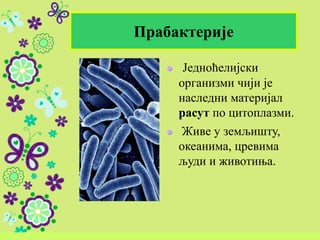 Једноћелијски
организми чији је
наследни материјал
расут по цитоплазми.
Живе у земљишту,
океанима, цревима
људи и животиња.
Прабактерије
 