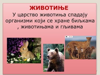 ЖИВОТИЊЕ
У царство животиња спадају
организми који се хране биљкама
, животињама и гљивама
 